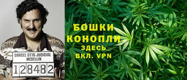 PSILOCYBIN Наволоки
