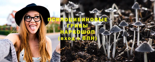 Альфа ПВП Абдулино