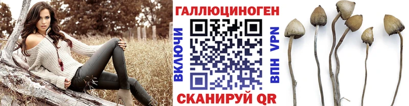 Псилоцибиновые грибы мухоморы  продажа наркотиков  Горячеводский 